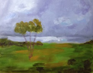 start of stormy field